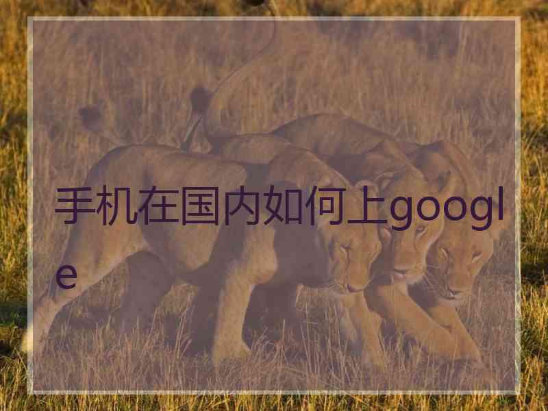 手机在国内如何上google 手机在国内如何上google