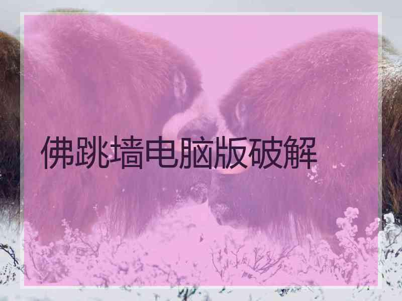 佛跳墙电脑版破解 佛跳墙电脑版破解