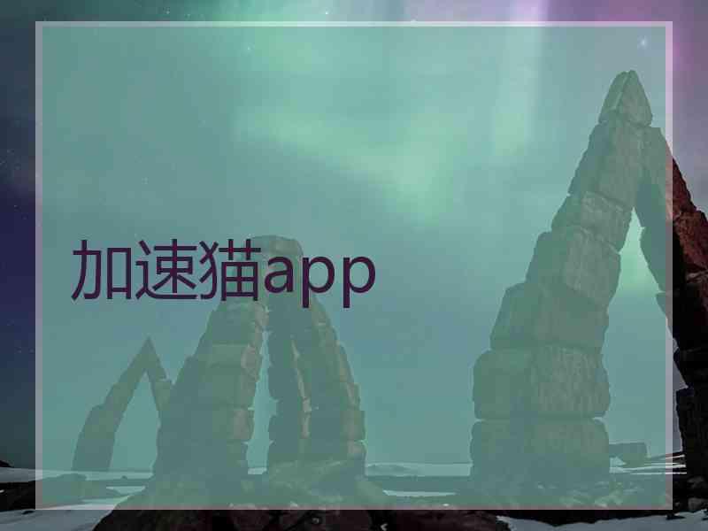 加速猫app 加速猫app