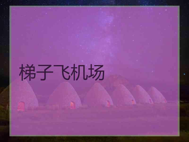 梯子飞机场 梯子飞机场