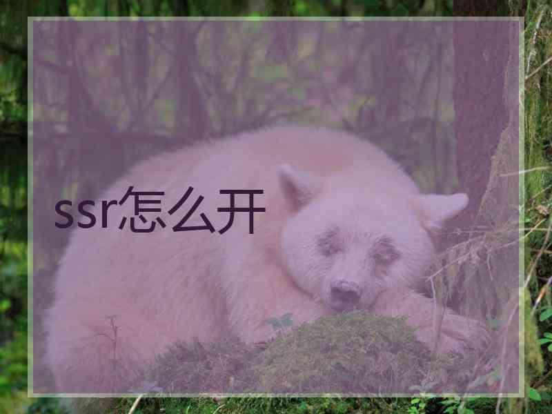 ssr怎么开 ssr怎么开