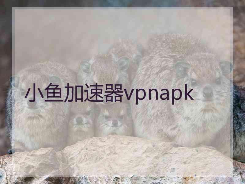 小鱼加速器vpnapk 小鱼加速器vpnapk