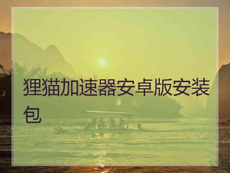 狸猫加速器安卓版安装包 狸猫加速器安卓版安装包