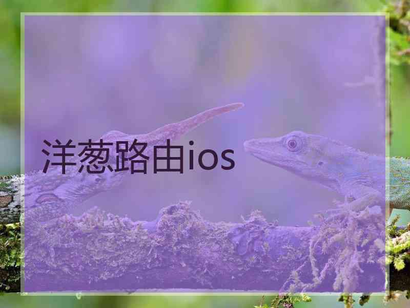 洋葱路由ios