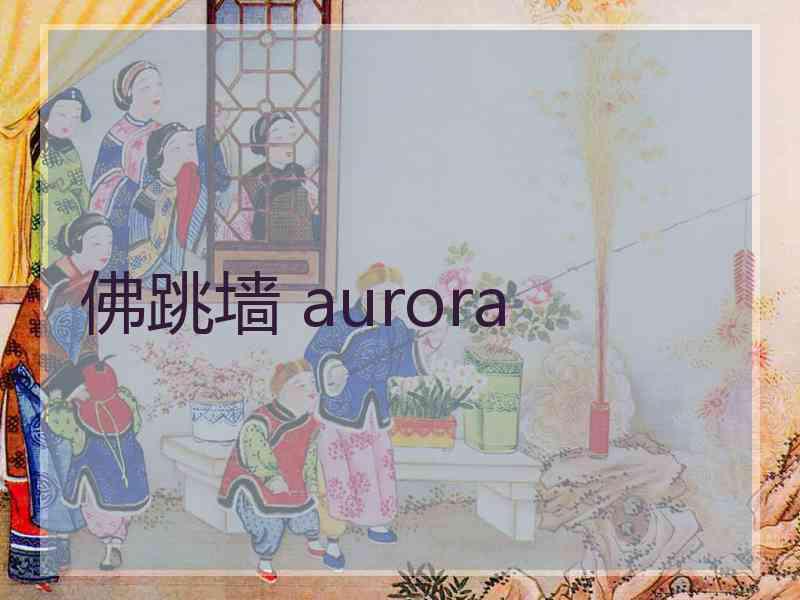 佛跳墙 aurora