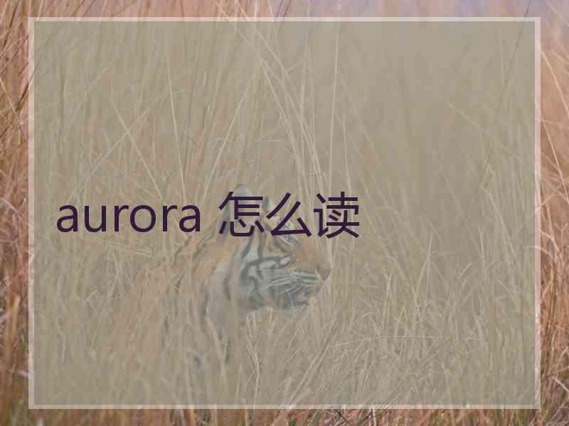 aurora 怎么读