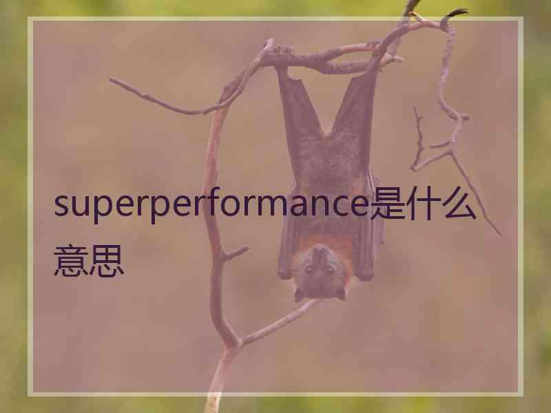 superperformance是什么意思