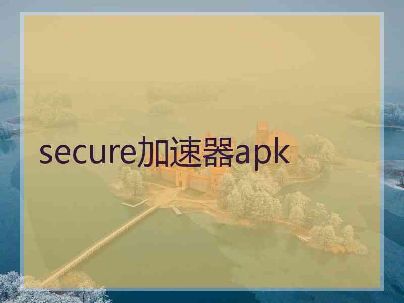 secure加速器apk