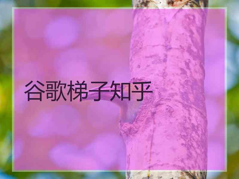 谷歌梯子知乎