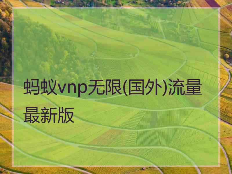 蚂蚁vnp无限(国外)流量最新版