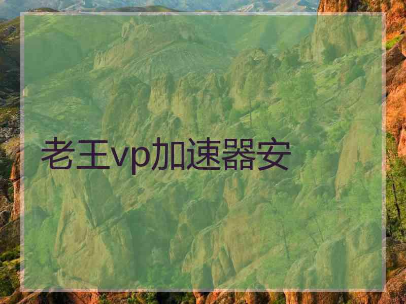 老王vp加速器安