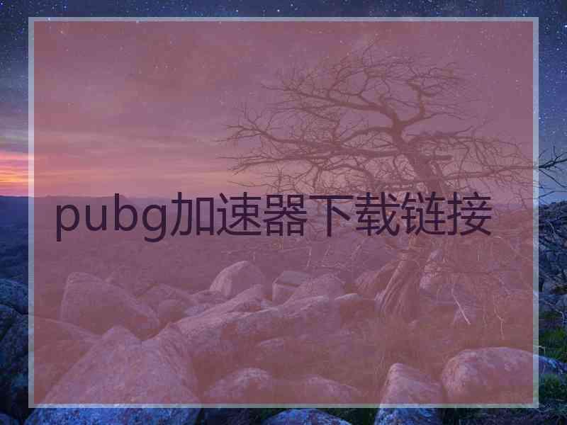 pubg加速器下载链接