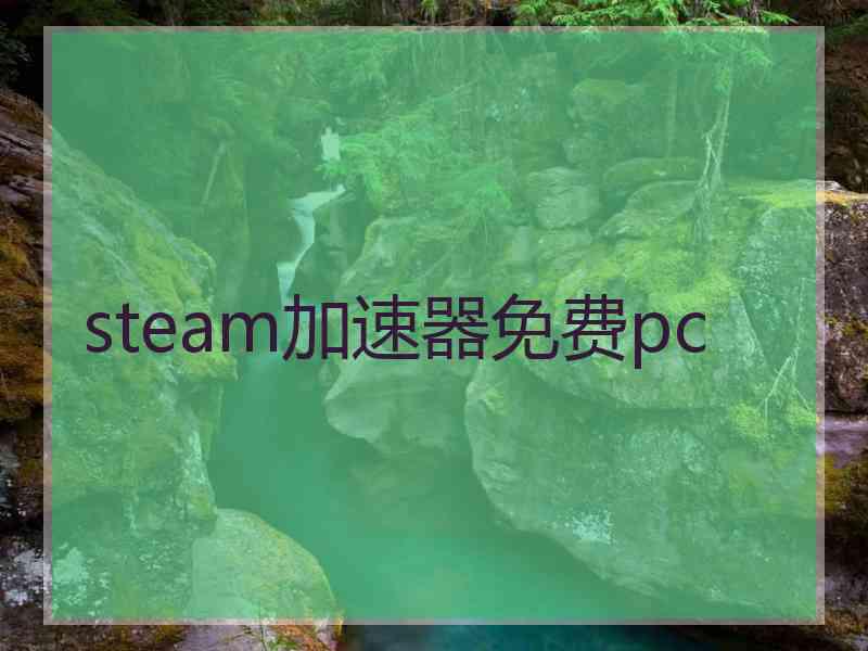 steam加速器免费pc