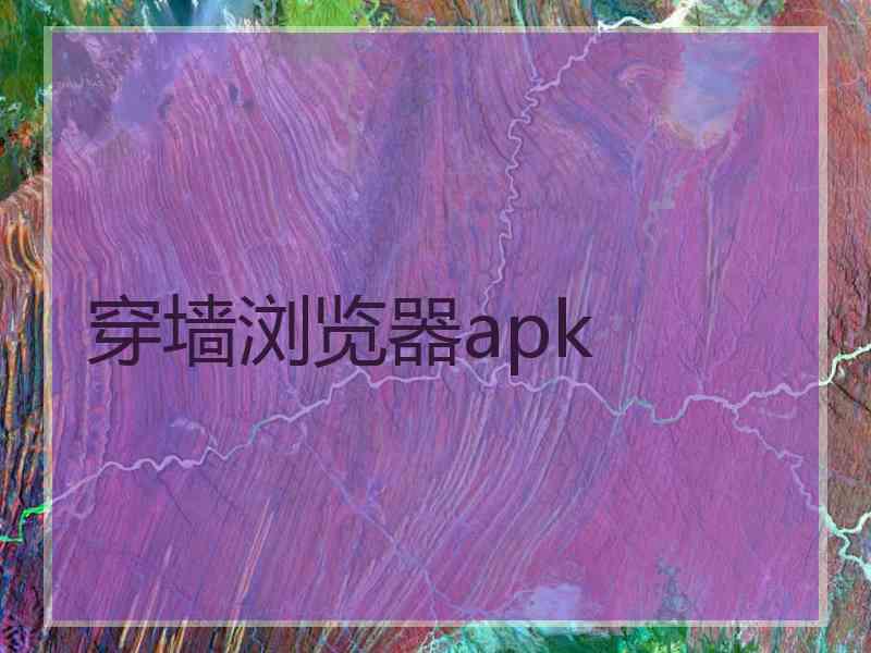 穿墙浏览器apk