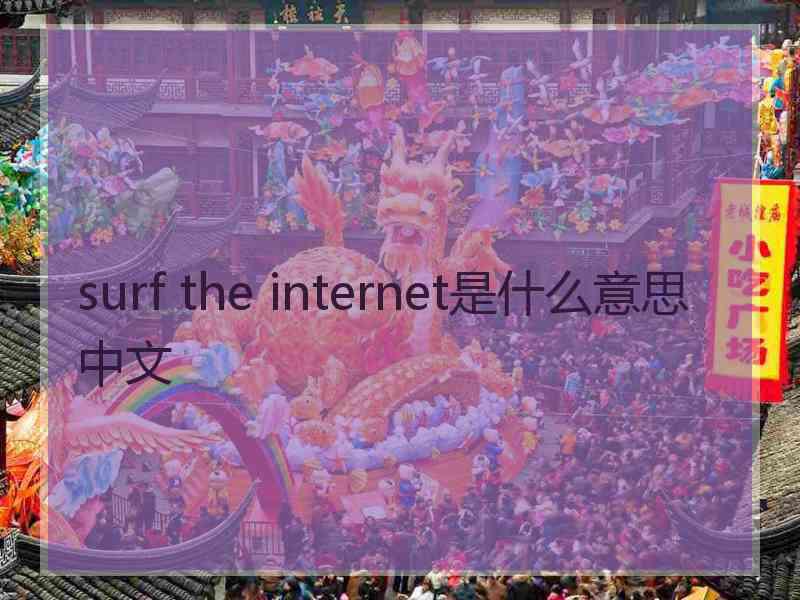 surf the internet是什么意思中文