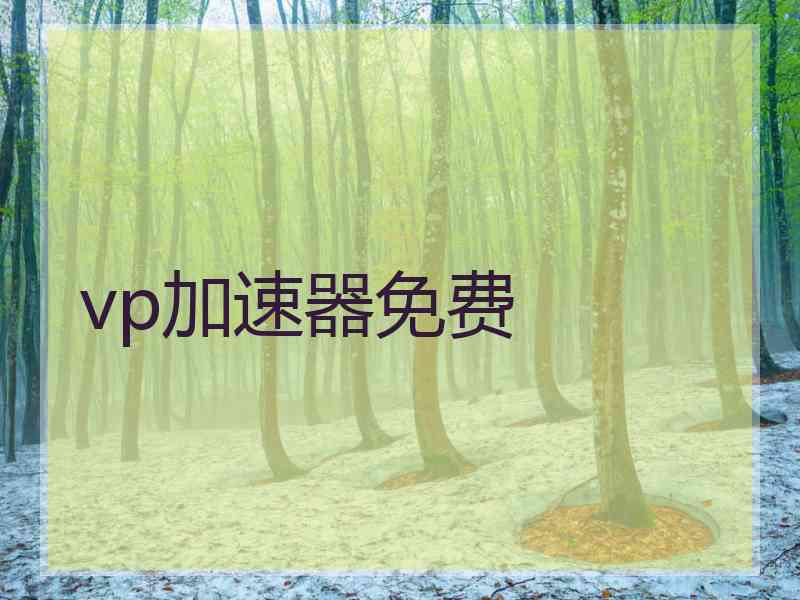 vp加速器免费