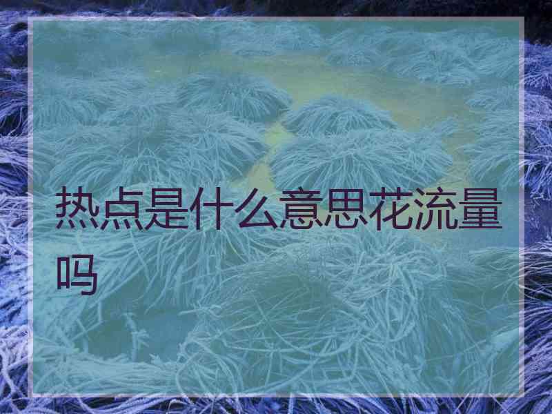 热点是什么意思花流量吗