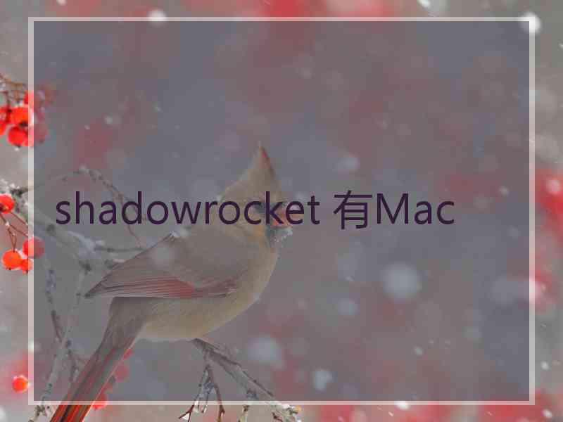 shadowrocket 有Mac