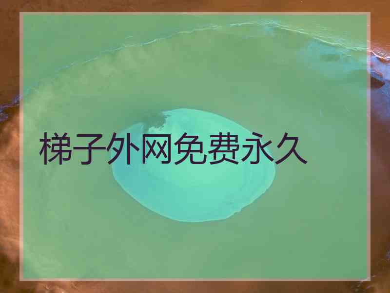 梯子外网免费永久