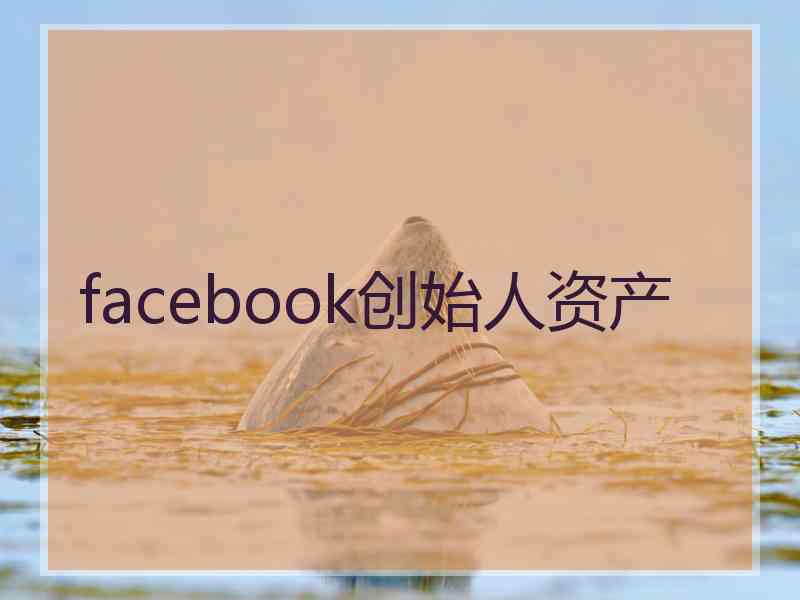 facebook创始人资产